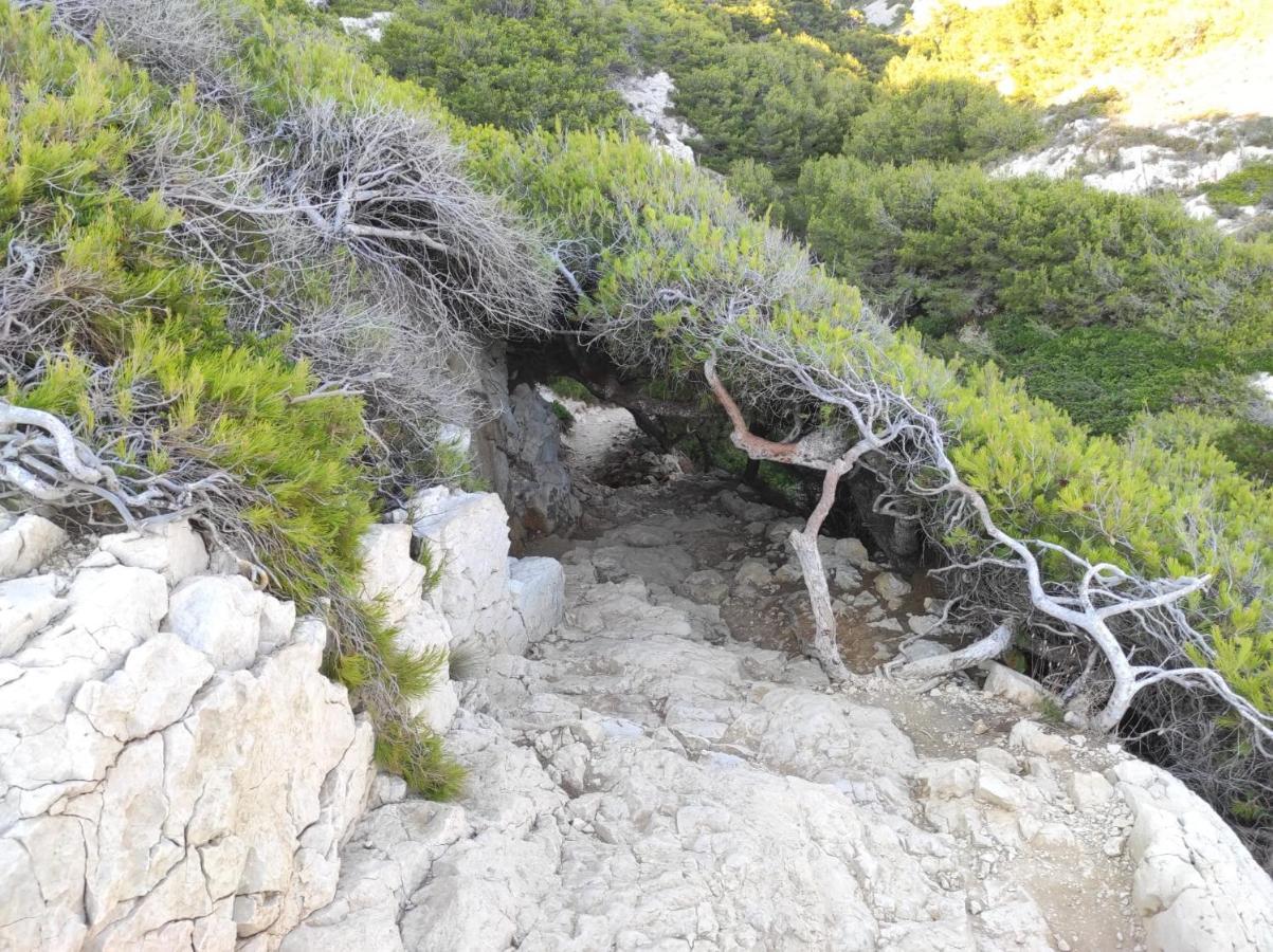 Chalet Chill Out Cabanon Coeur Calanques